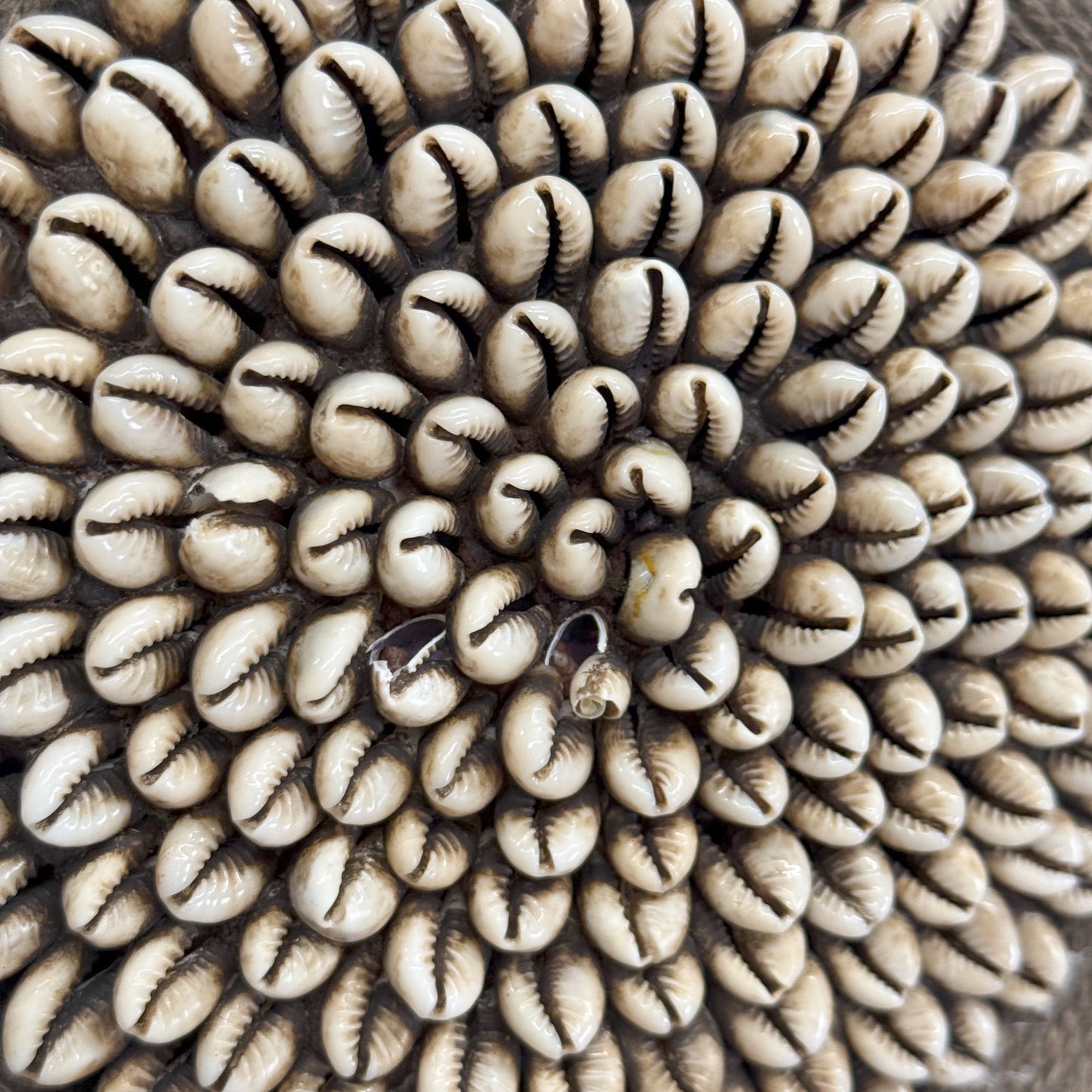 Beaded Ceremonial Shield - South Africa