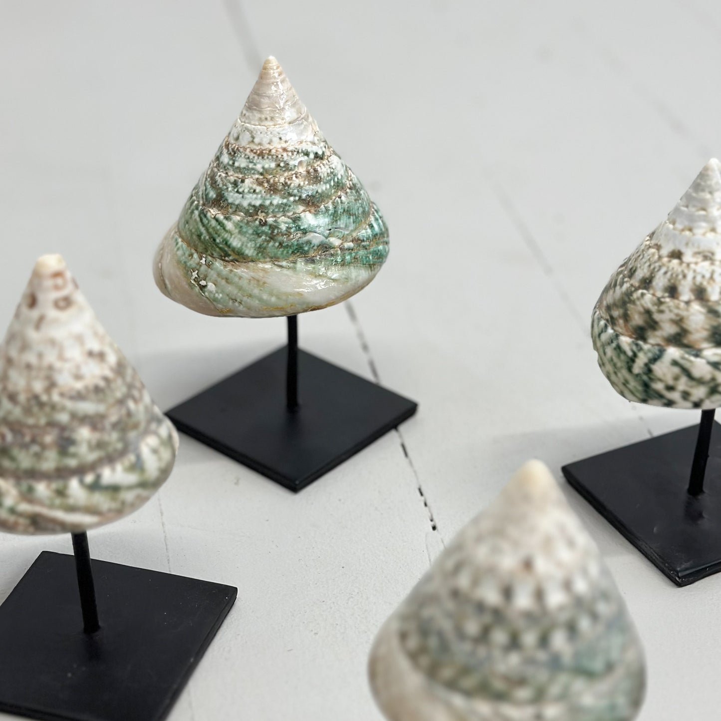 Conical Shell on Stand