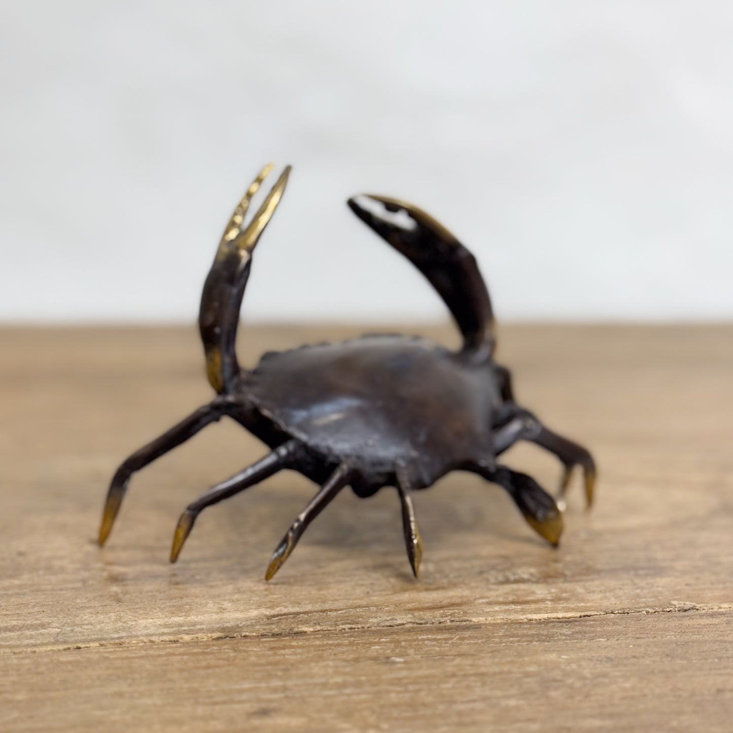 Bronze Crab