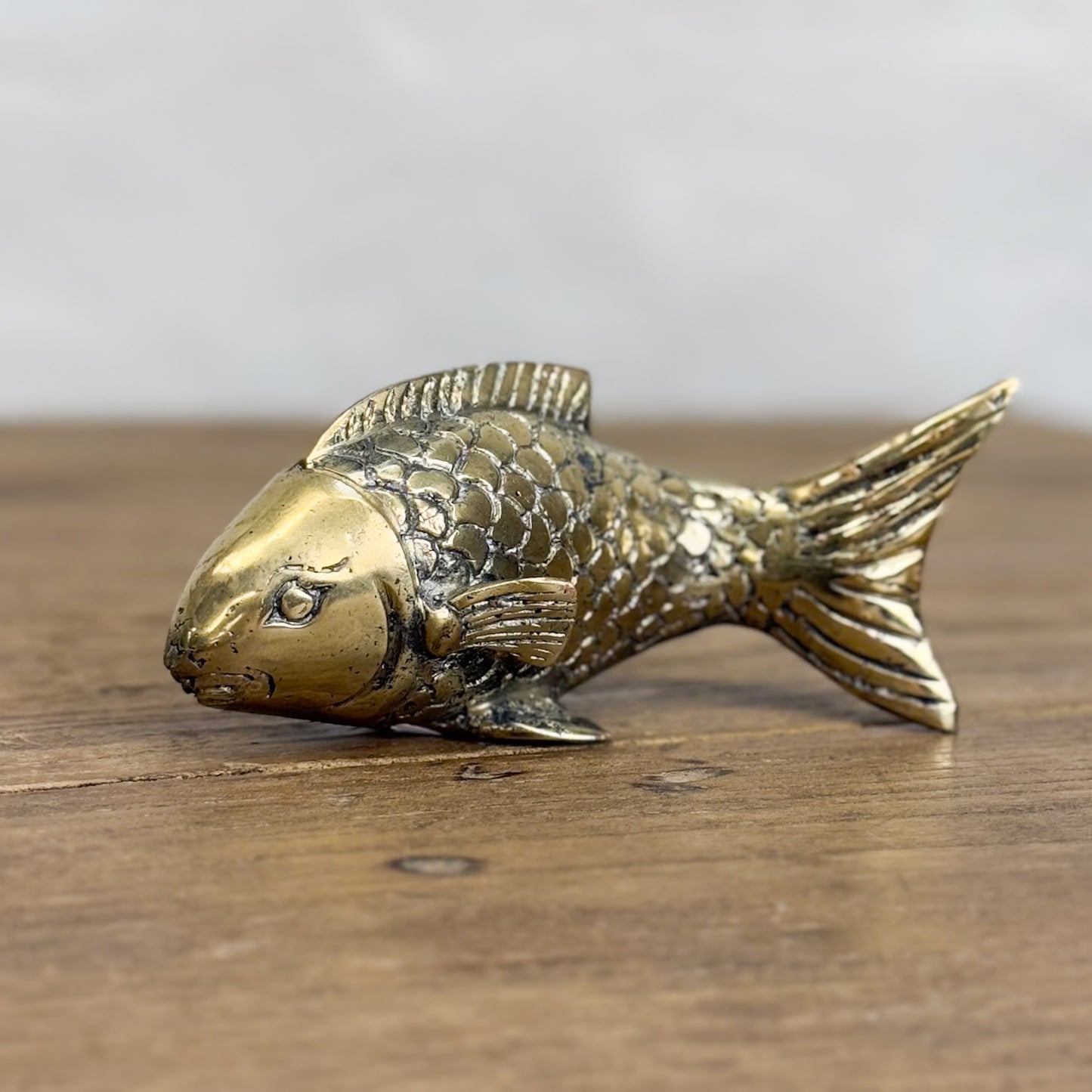 Bronze Koi