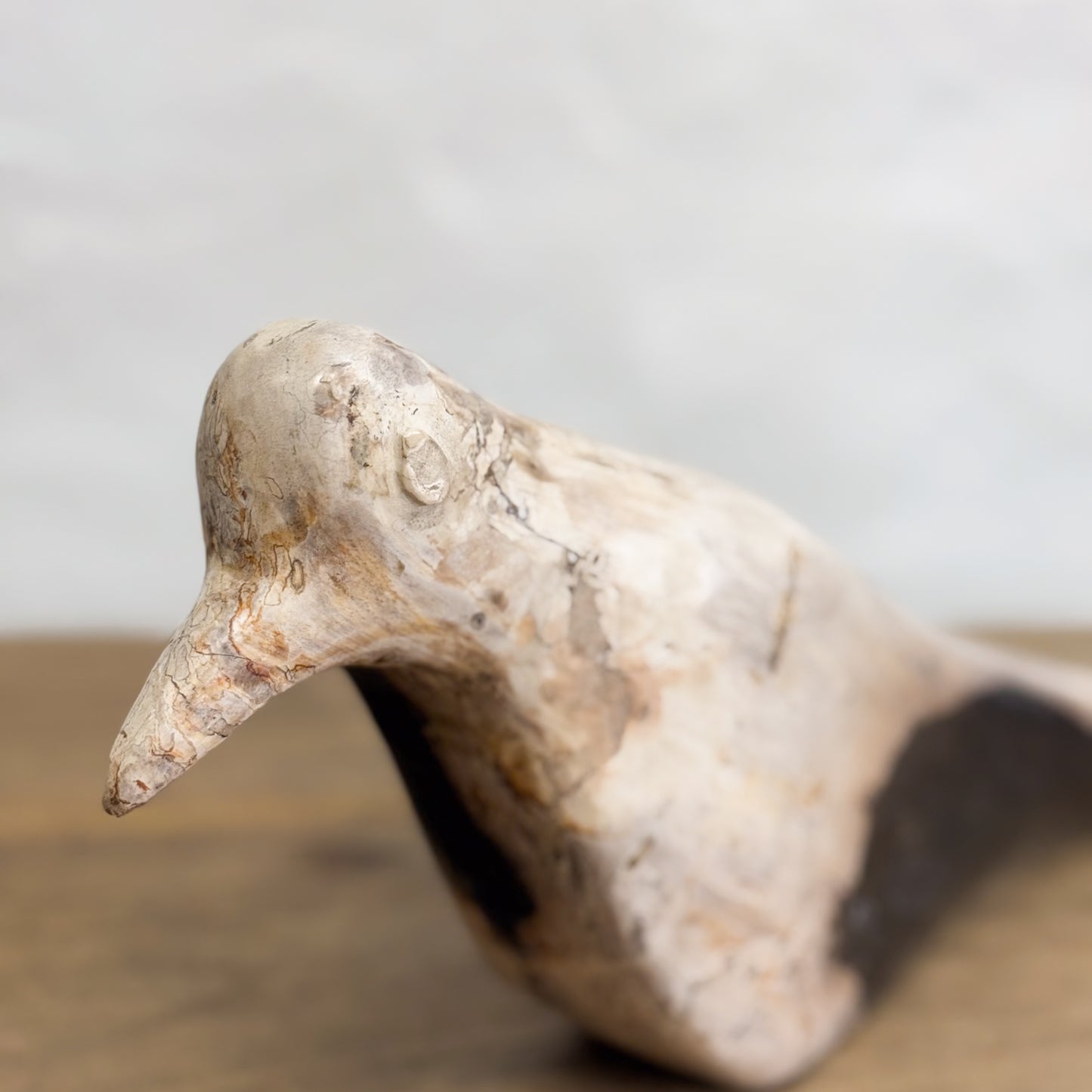 Petrified Wood Bird I