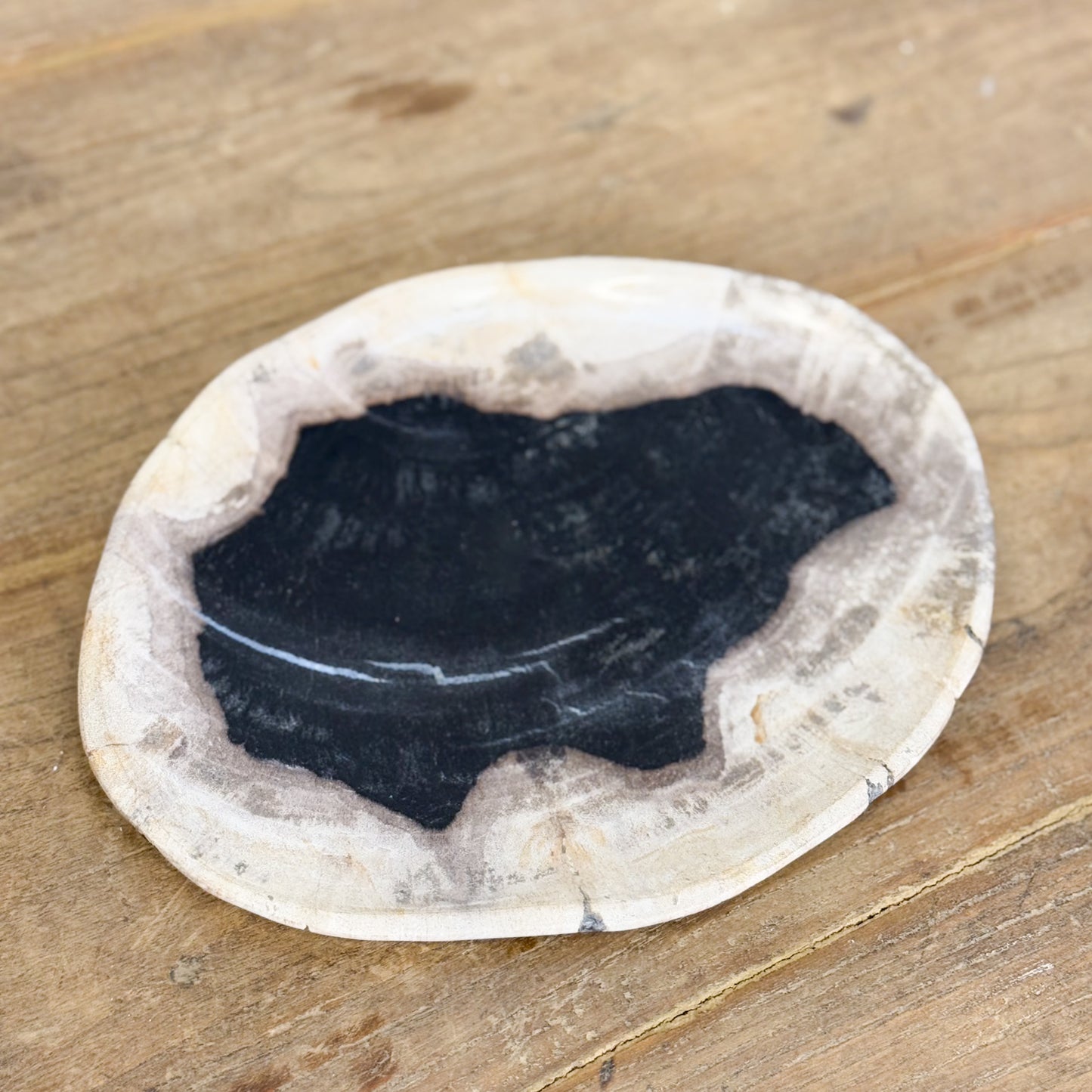 Assorted Petrified Wood Plate