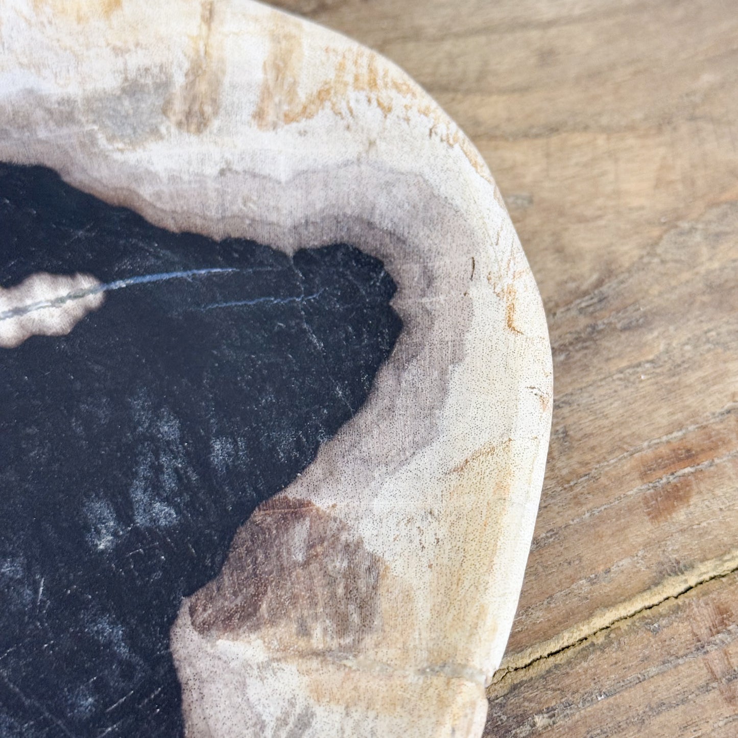 Assorted Petrified Wood Plate