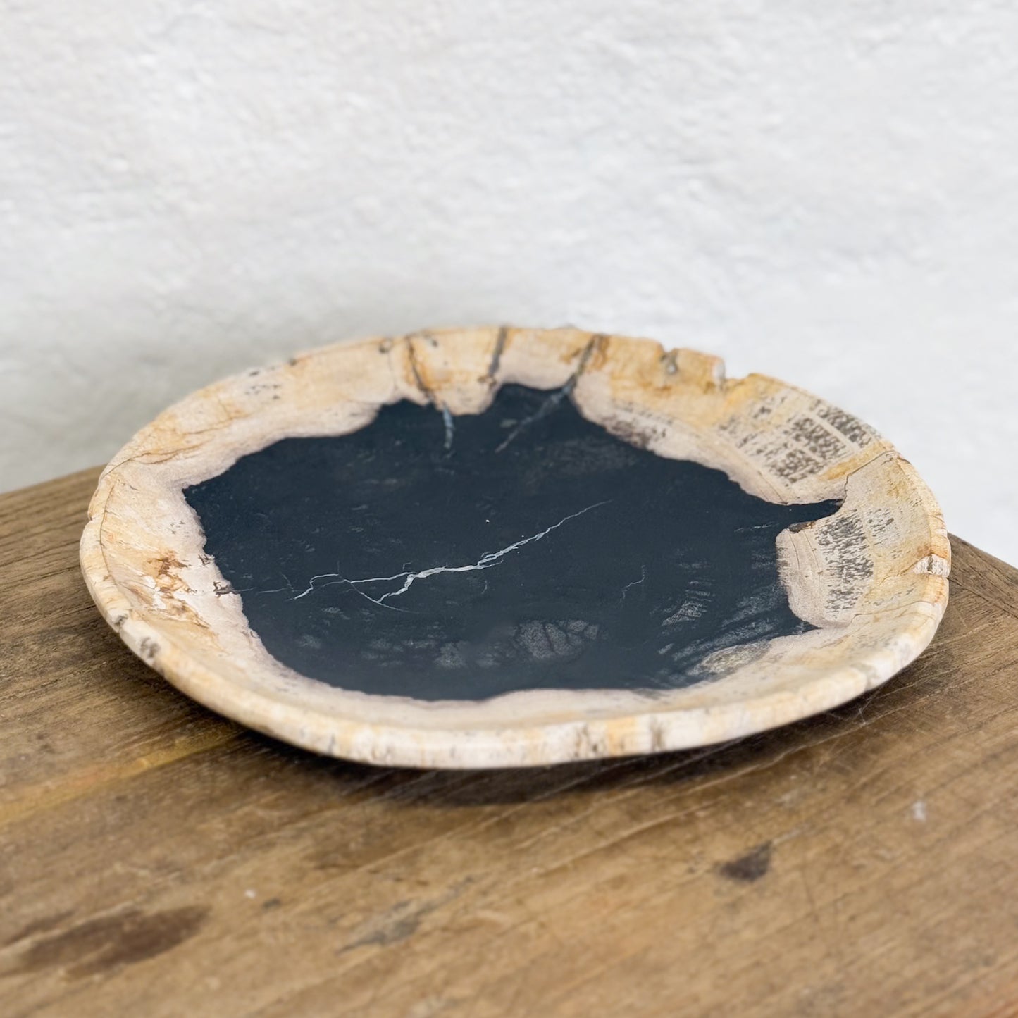 Assorted Petrified Wood Plate