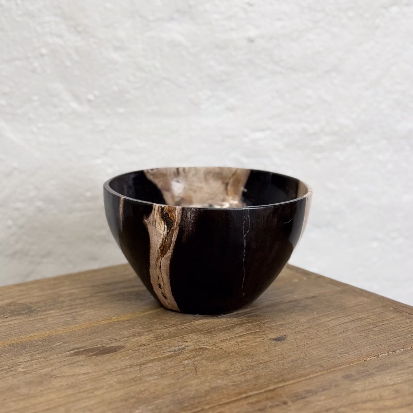 Petrified Wood Bowl II