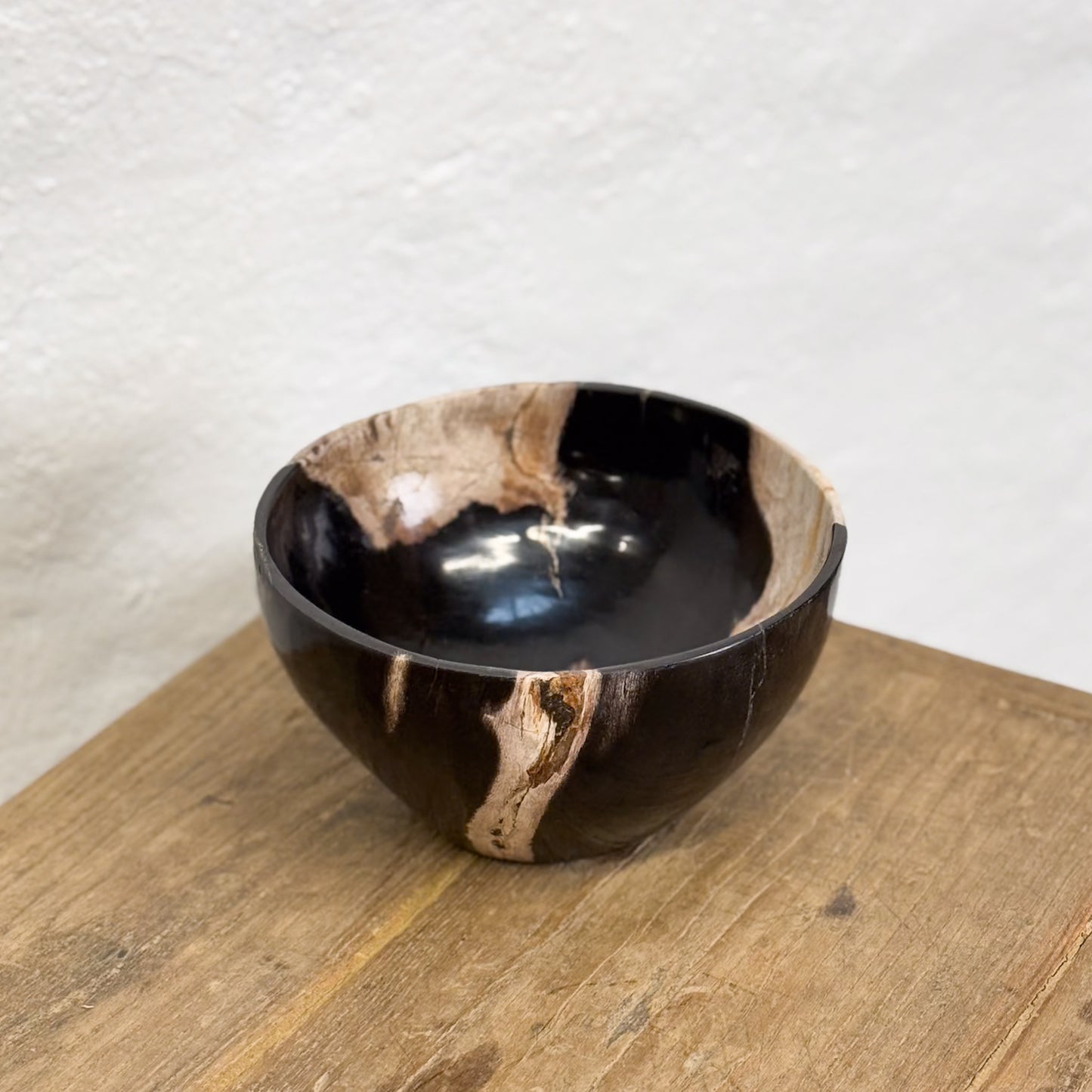 Petrified Wood Bowl II