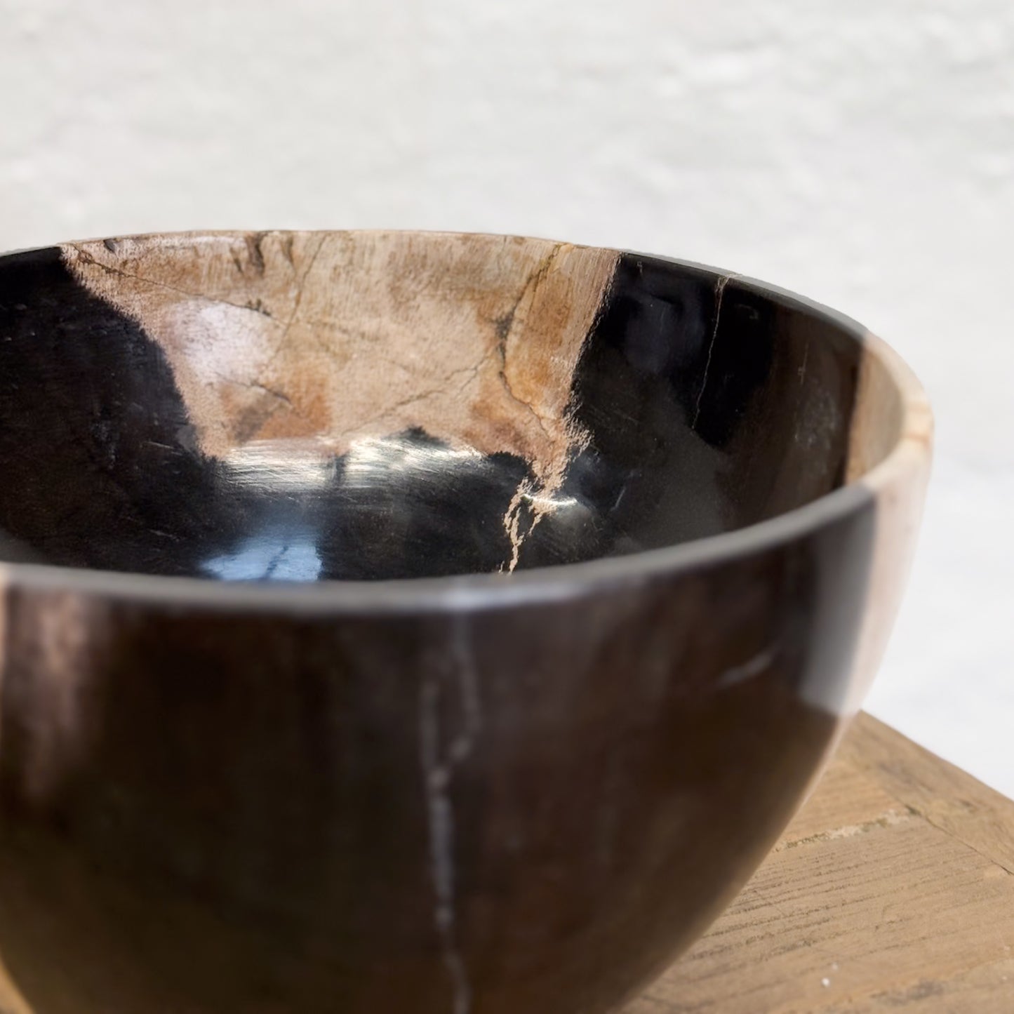 Petrified Wood Bowl II