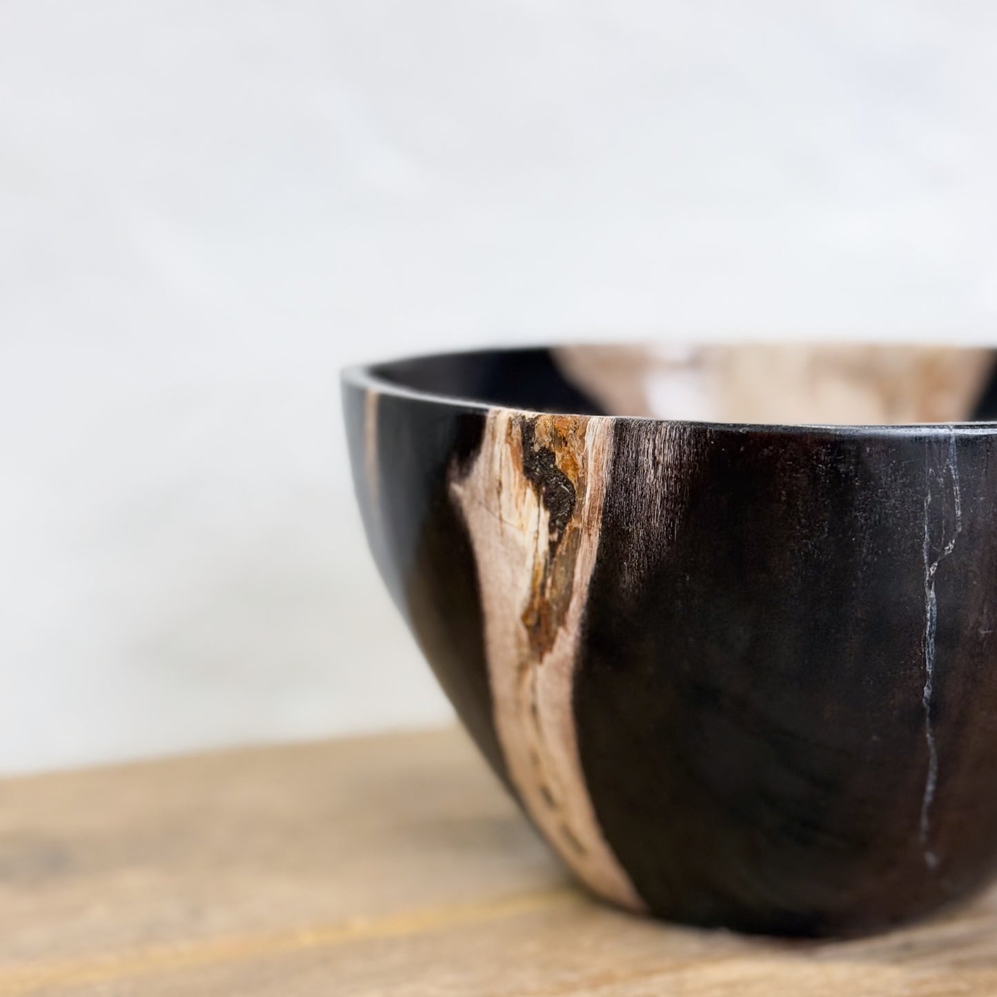 Petrified Wood Bowl II