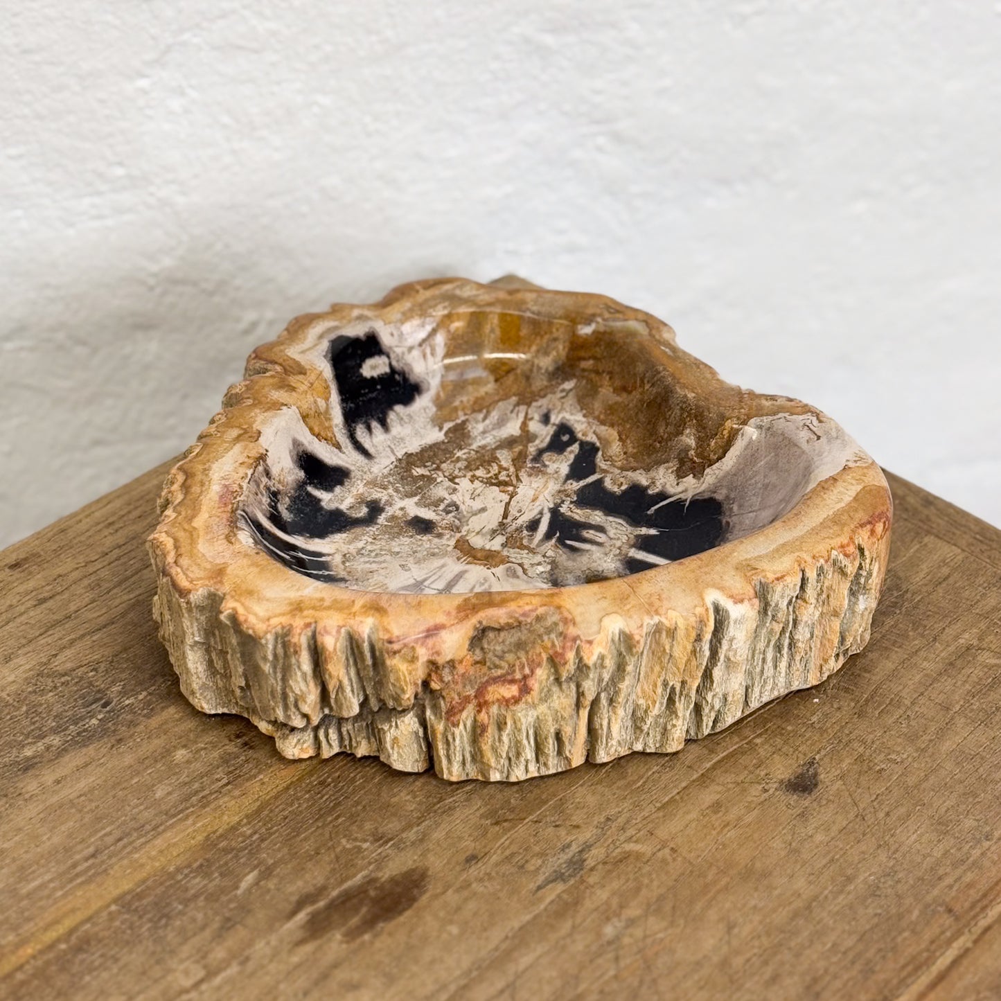 Petrified Wood Dish II