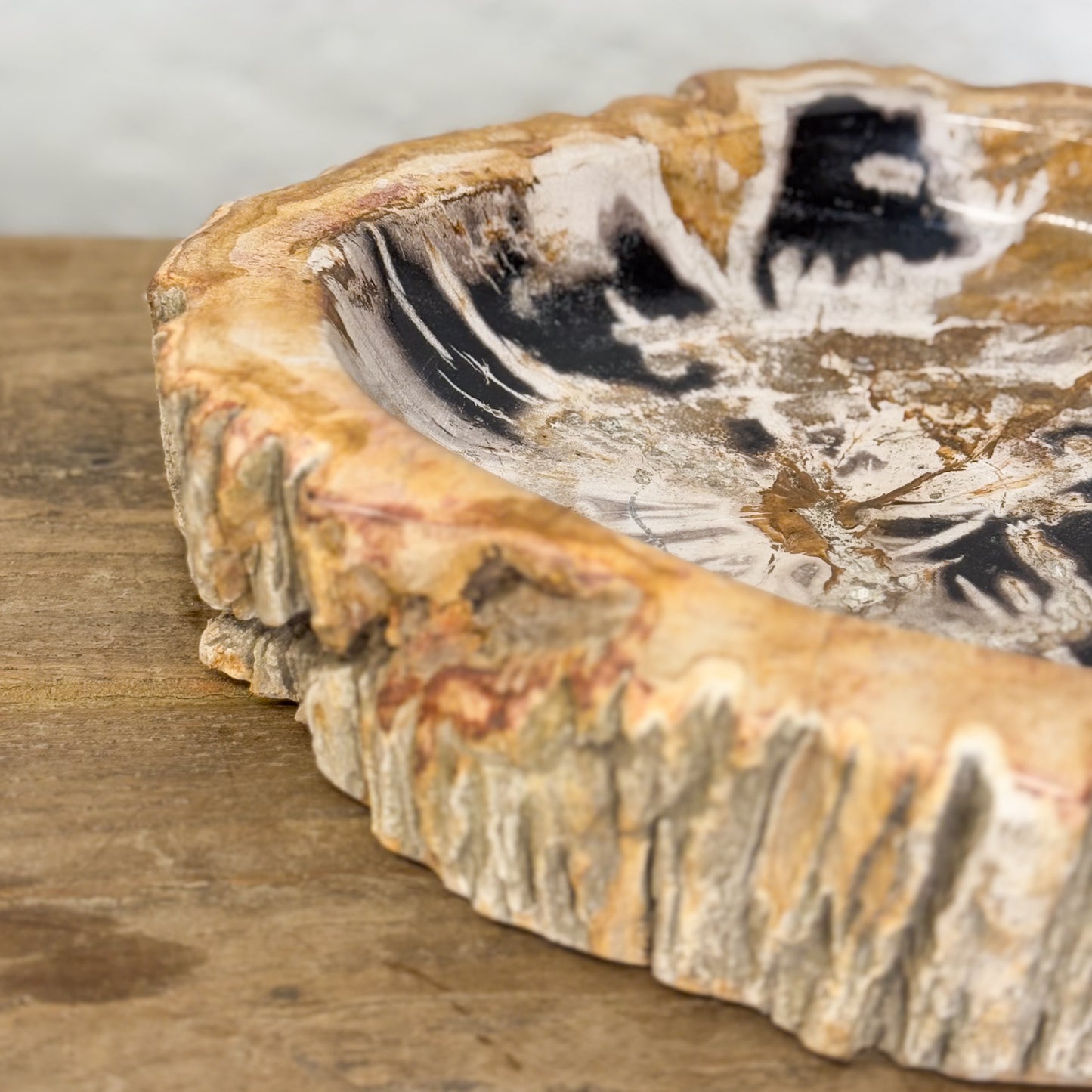 Petrified Wood Dish II