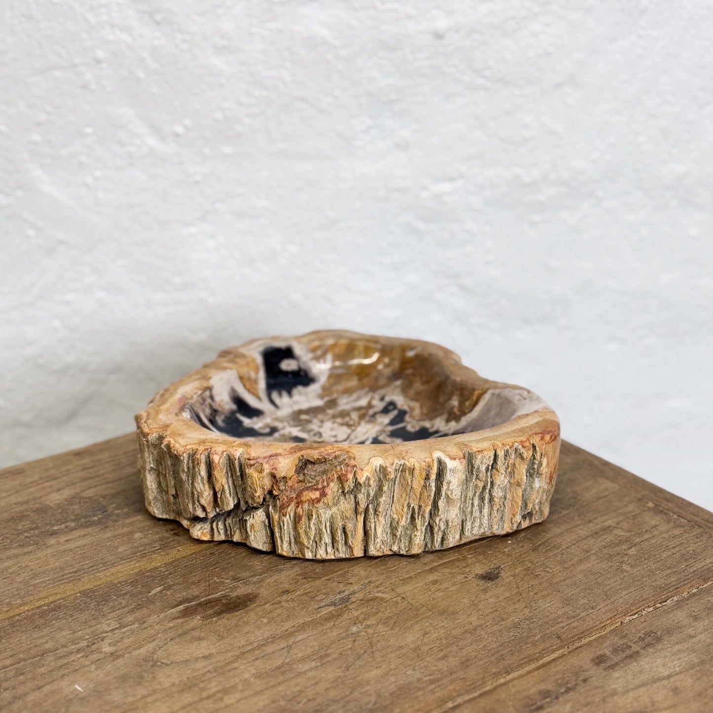 Petrified Wood Dish II