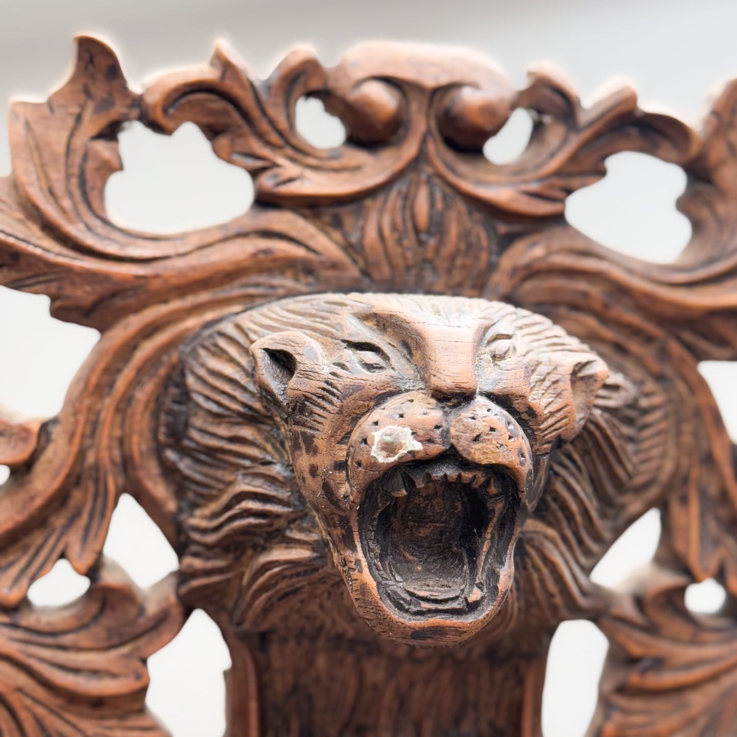 Glass Cabinet with Lion Head Frieze