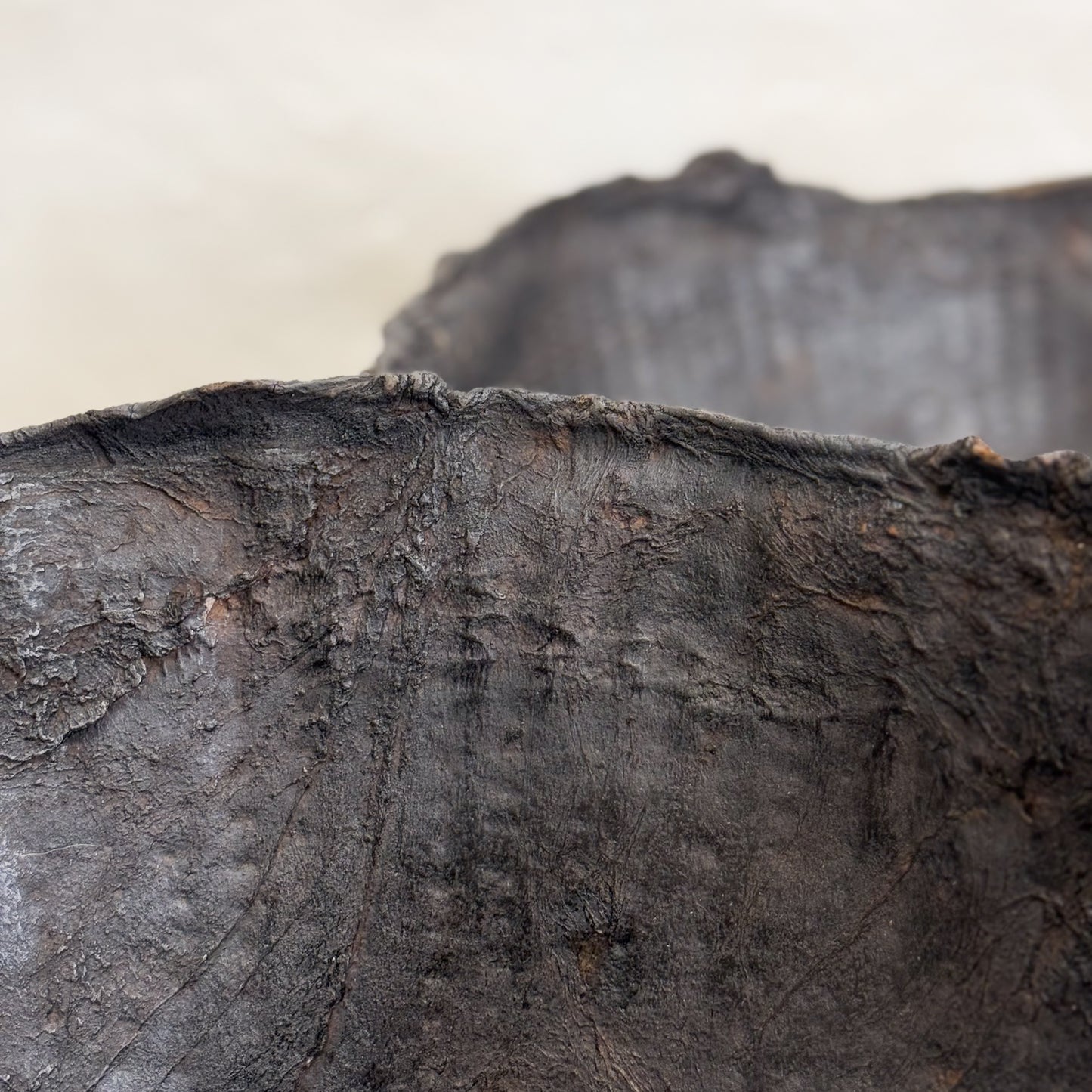 Buffalo Hide Bowl