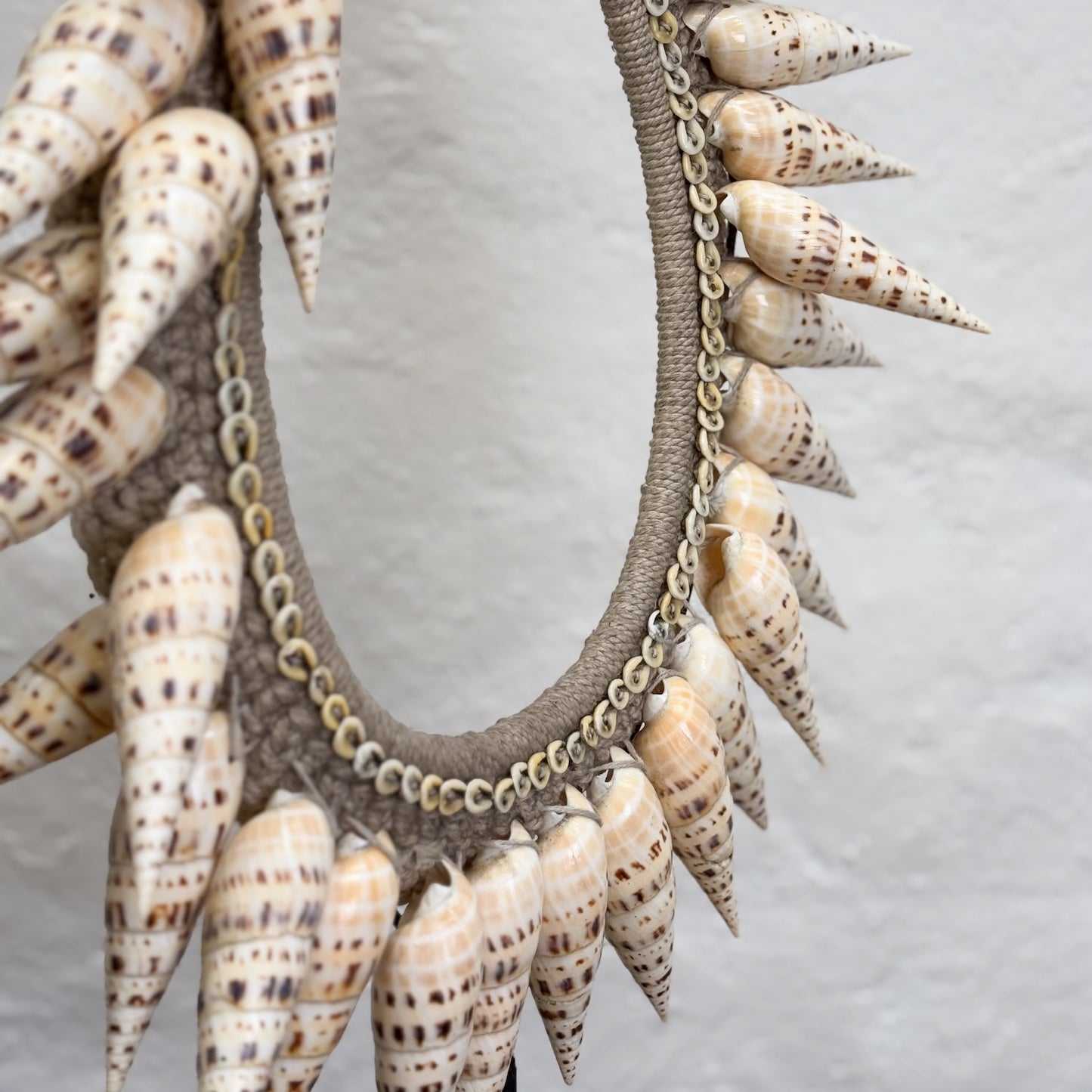 Takmudakan Shell Necklace on Stand