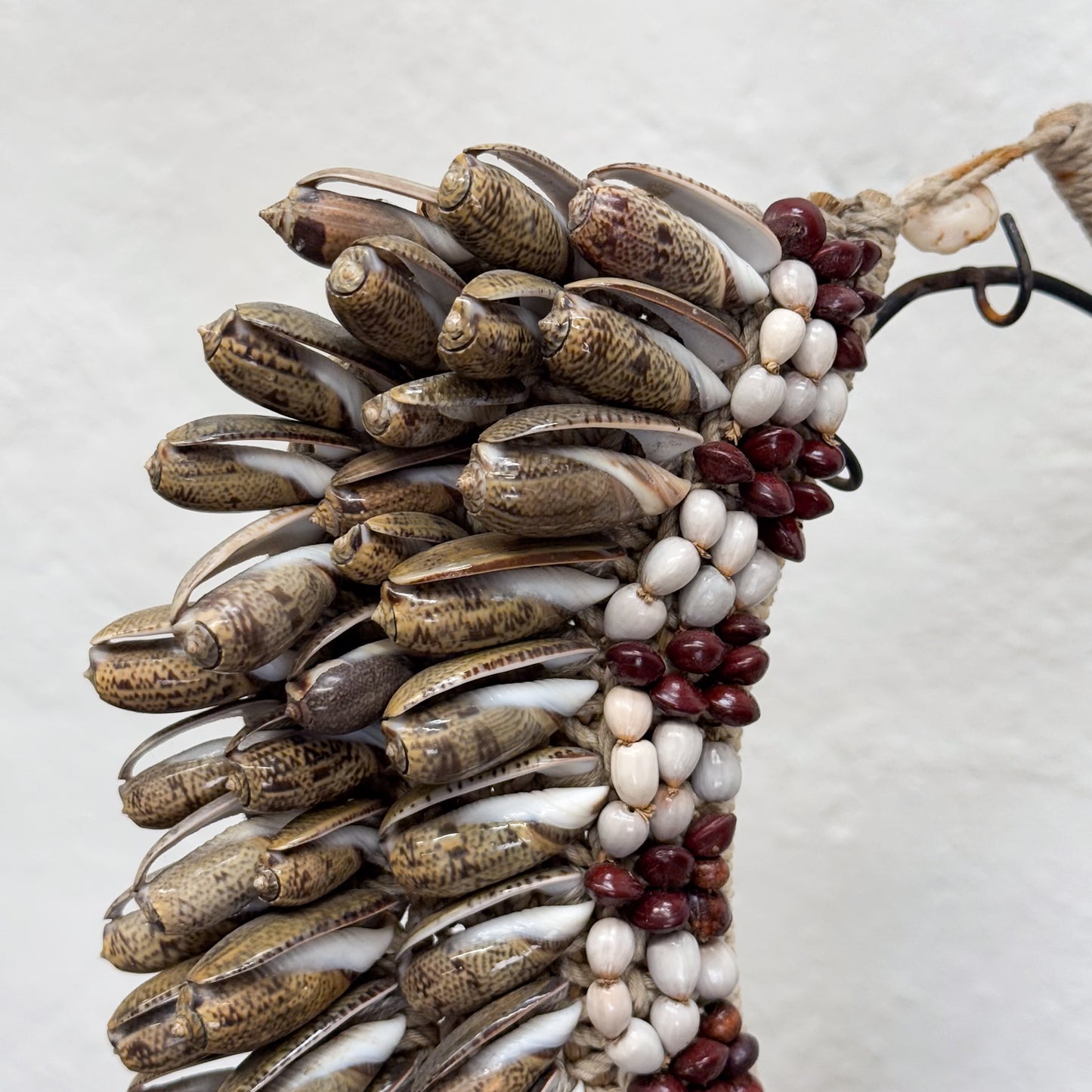 Lidah Shell Necklace with Stand