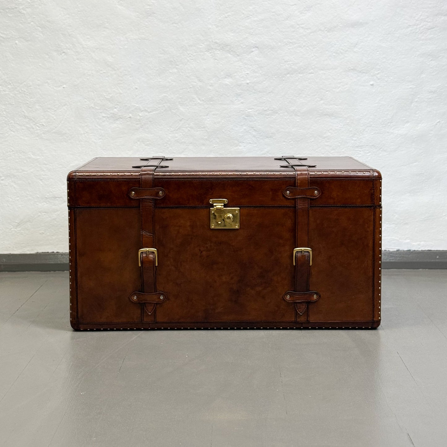 Leather Trunk with Brass Detail