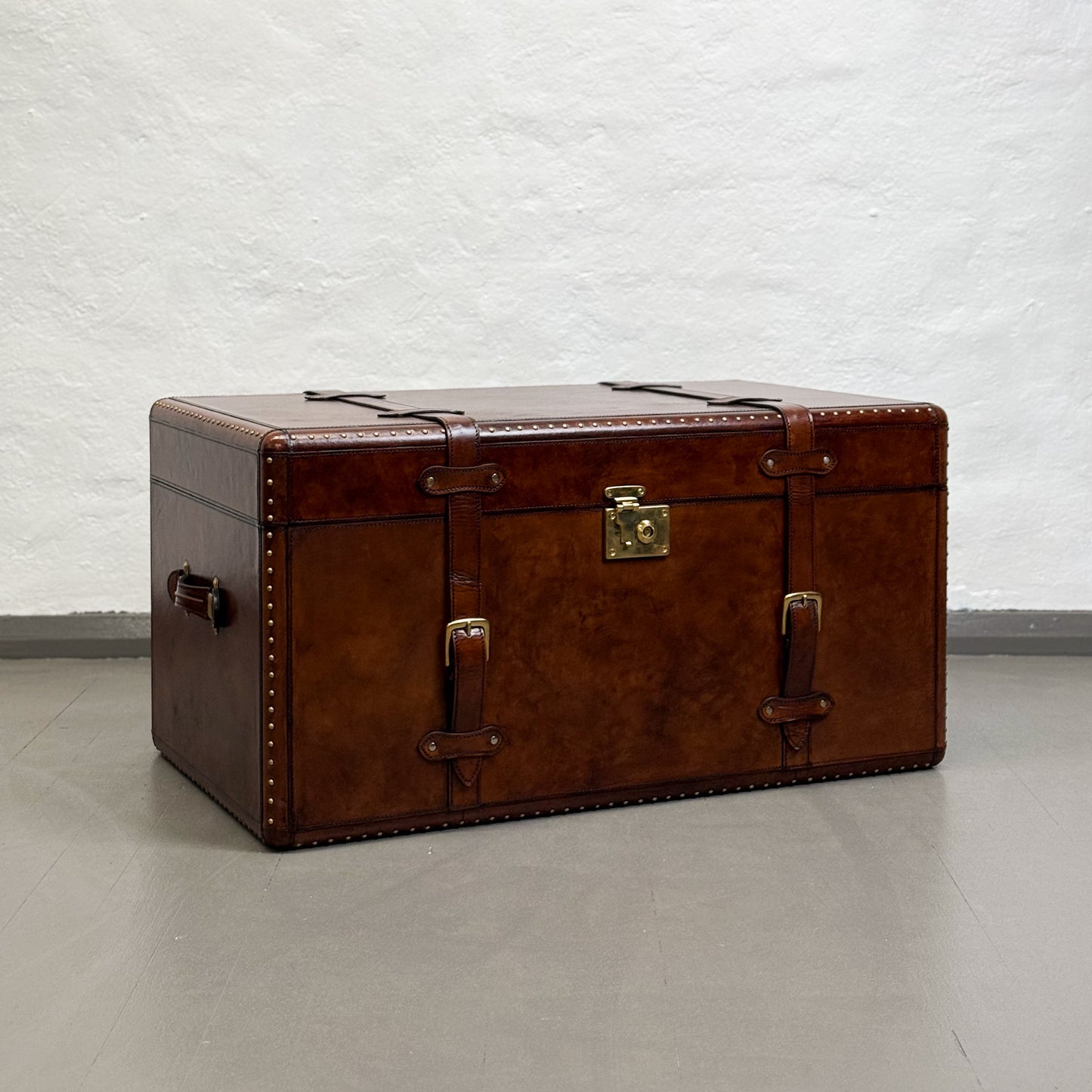 Leather Trunk with Brass Detail