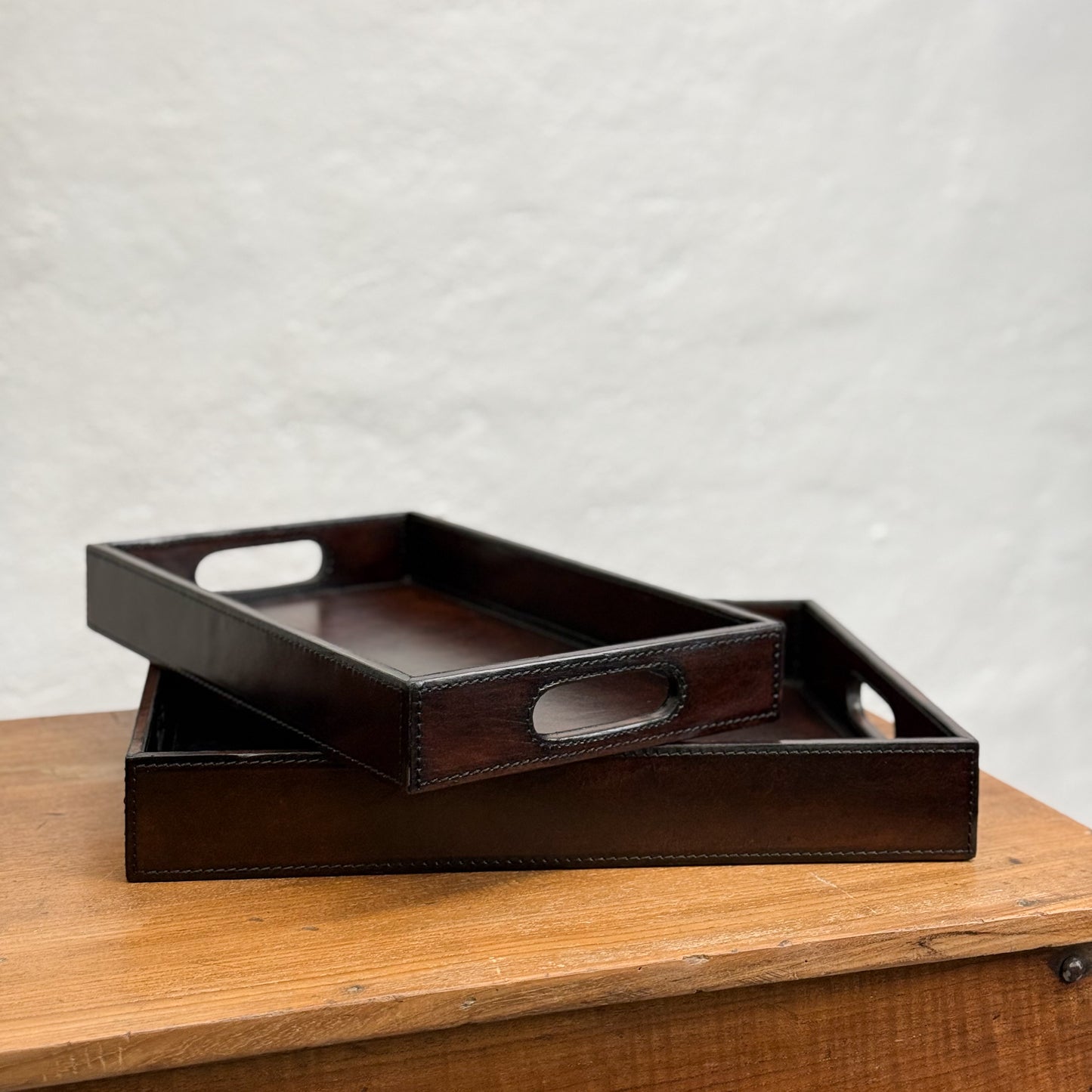 Dark Brown Simple Leather Tray